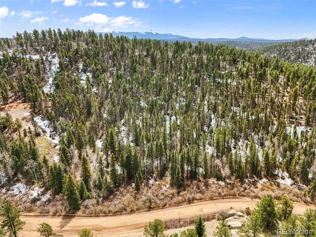 464 E Bison Creek Trail Florissant, CO 80816