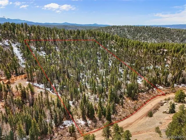 464 E Bison Creek Trail Florissant, CO 80816