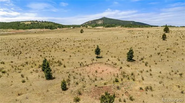 11881 SH 67 Divide, CO 80814