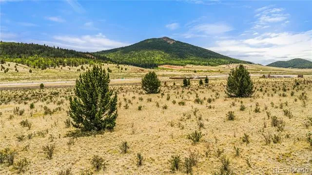 11881 SH 67 Divide, CO 80814