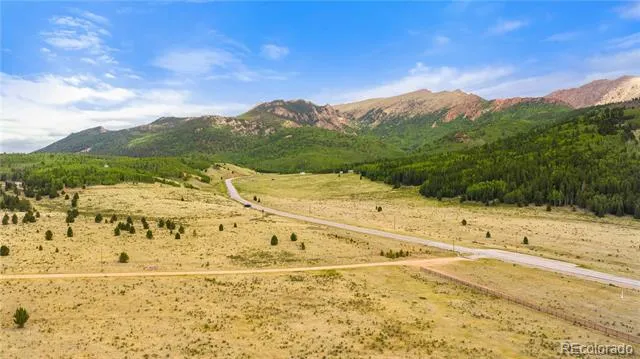 11881 SH 67 Divide, CO 80814