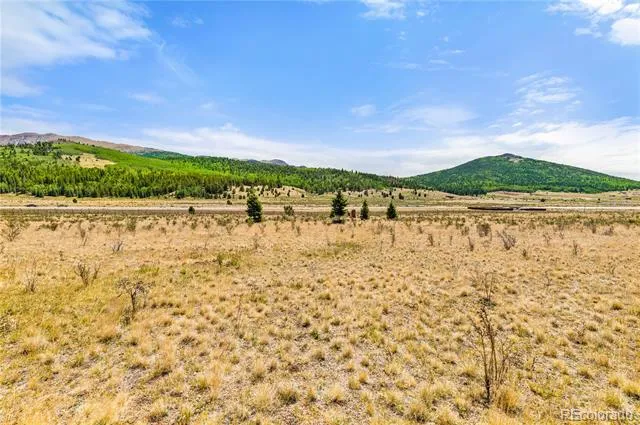 11881 SH 67 Divide, CO 80814