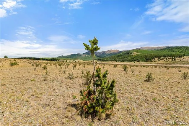 11881 SH 67 Divide, CO 80814
