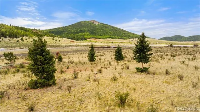 11881 SH 67 Divide, CO 80814