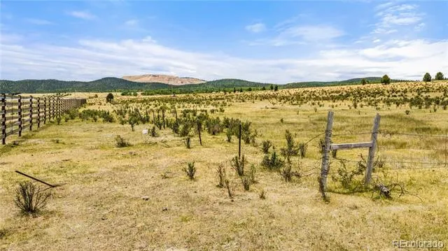 11881 SH 67 Divide, CO 80814