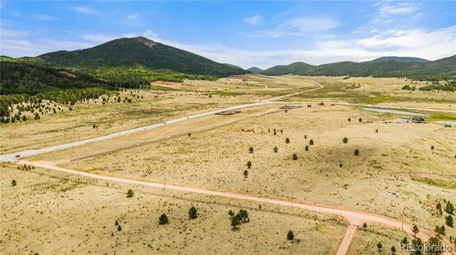 11881 SH 67 Divide, CO 80814