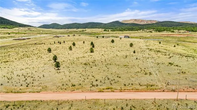 11881 SH 67 Divide, CO 80814