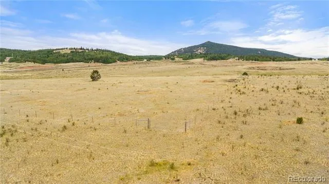 11881 SH 67 Divide, CO 80814