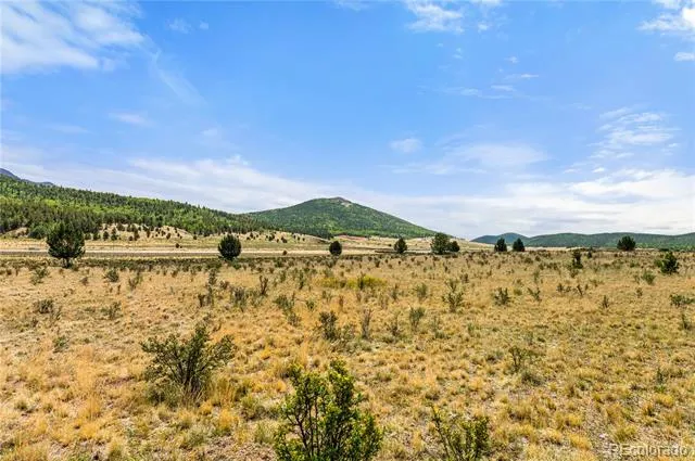 11881 SH 67 Divide, CO 80814