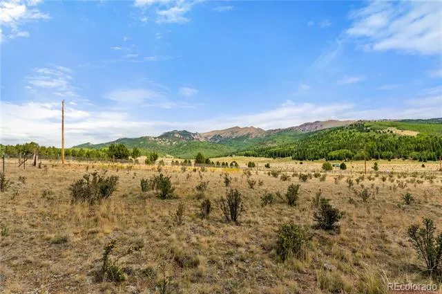11881 SH 67 Divide, CO 80814