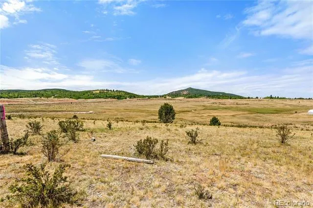 11881 SH 67 Divide, CO 80814