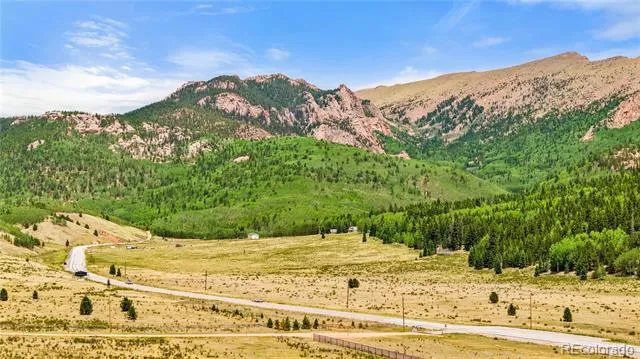 11881 SH 67 Divide, CO 80814