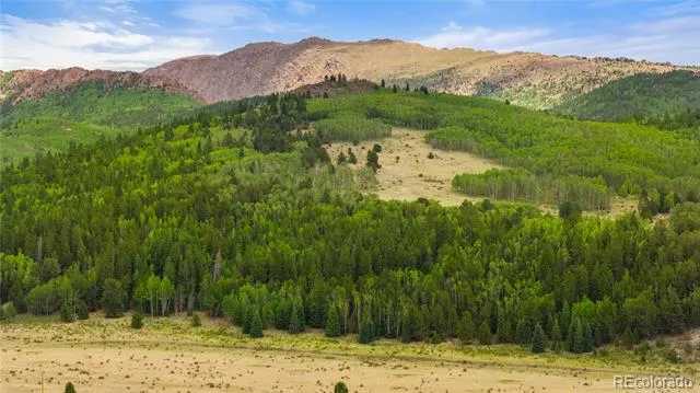 11881 SH 67 Divide, CO 80814