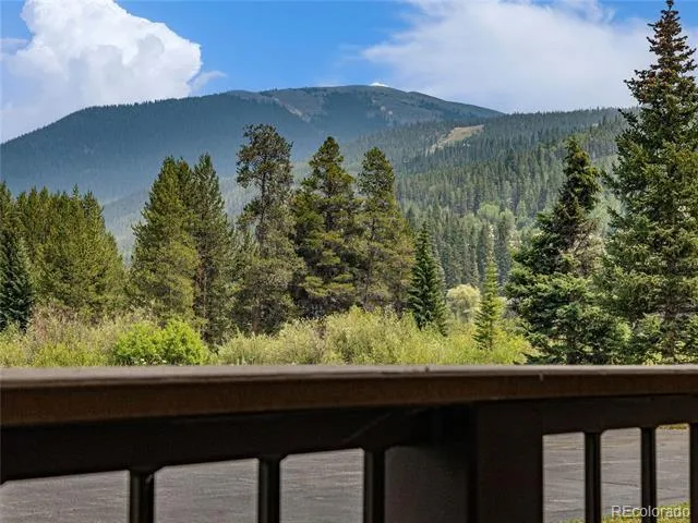 23004 US Highway 6 #102 Dillon, CO 80435