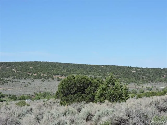 Lot 7563 Dolder Road Fort Garland, CO 81133