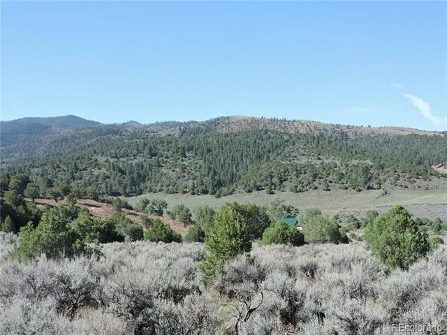 Lot 7563 Dolder Road Fort Garland, CO 81133