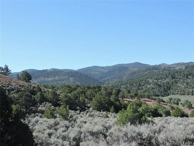 Lot 7563 Dolder Road Fort Garland, CO 81133