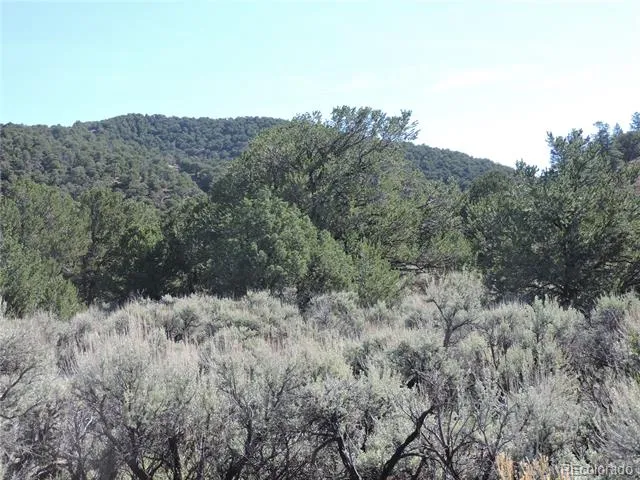 Lot 7563 Dolder Road Fort Garland, CO 81133