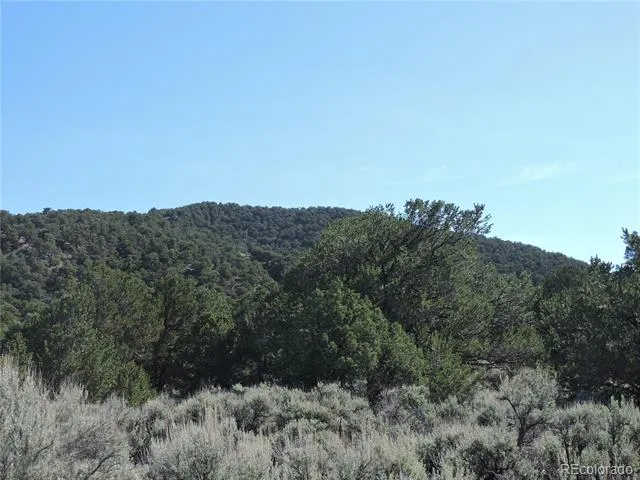 Lot 7563 Dolder Road Fort Garland, CO 81133