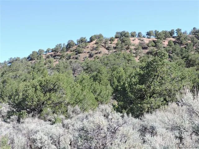 Lot 7563 Dolder Road Fort Garland, CO 81133