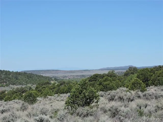 Lot 7563 Dolder Road Fort Garland, CO 81133