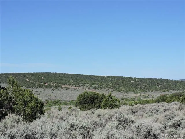 Lot 7563 Dolder Road Fort Garland, CO 81133