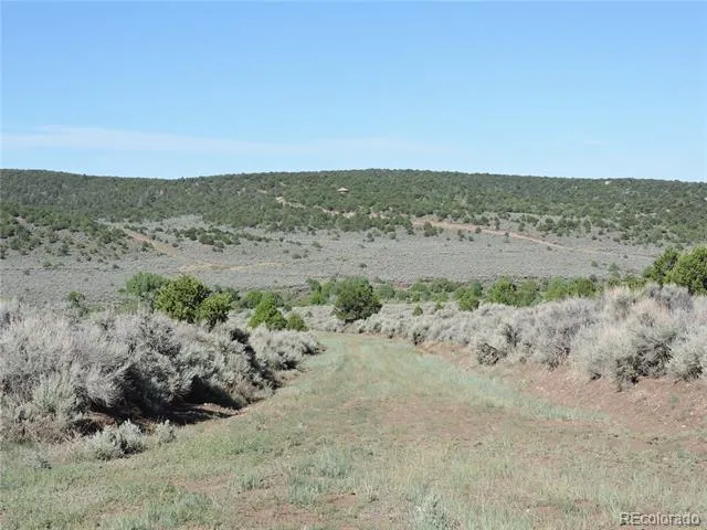 Lot 7563 Dolder Road Fort Garland, CO 81133