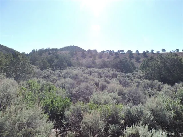 Lot 7563 Dolder Road Fort Garland, CO 81133