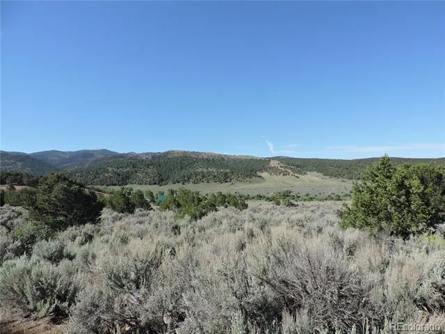 Lot 7563 Dolder Road Fort Garland, CO 81133