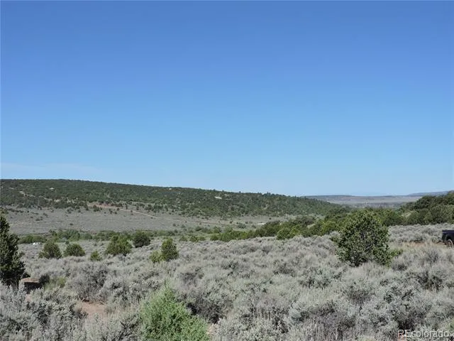 Lot 7563 Dolder Road Fort Garland, CO 81133