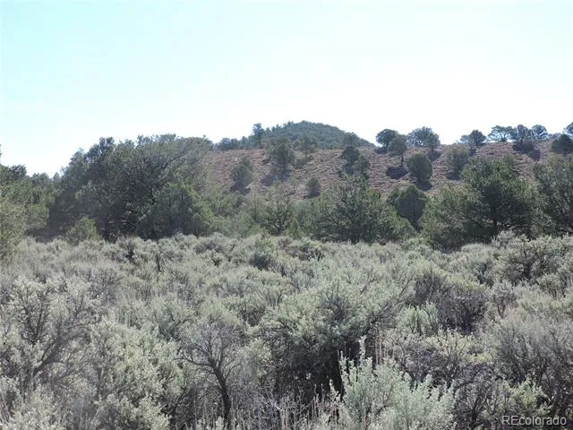 Lot 7563 Dolder Road Fort Garland, CO 81133