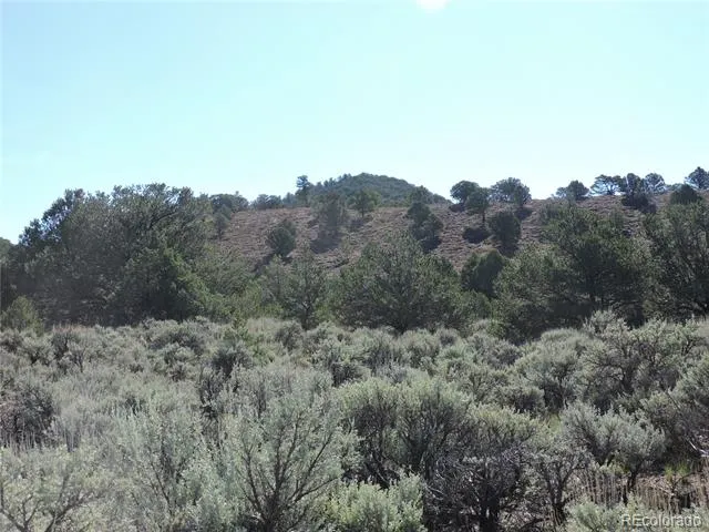 Lot 7563 Dolder Road Fort Garland, CO 81133