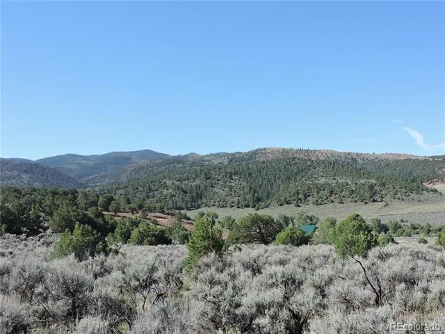 Lot 7563 Dolder Road Fort Garland, CO 81133