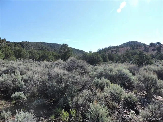 Lot 7563 Dolder Road Fort Garland, CO 81133