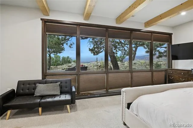 1420 Point Of The Pines Drive Colorado Springs, CO 80919