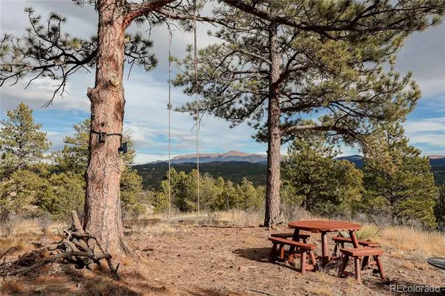 000 Twinkle Road Guffey, CO 80820