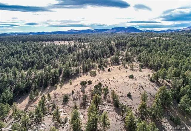 000 Twinkle Road Guffey, CO 80820