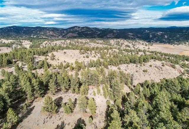 000 Twinkle Road Guffey, CO 80820