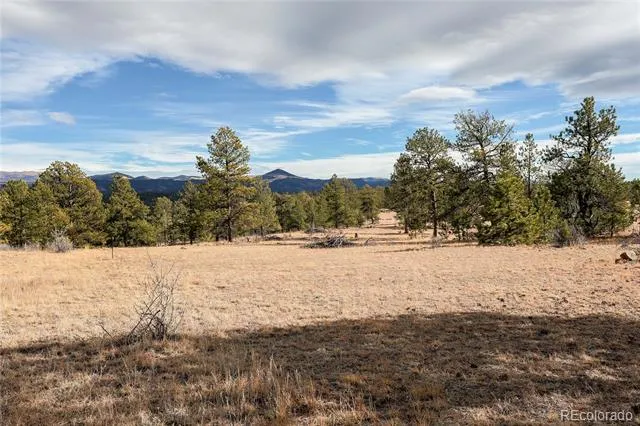 000 Twinkle Road Guffey, CO 80820