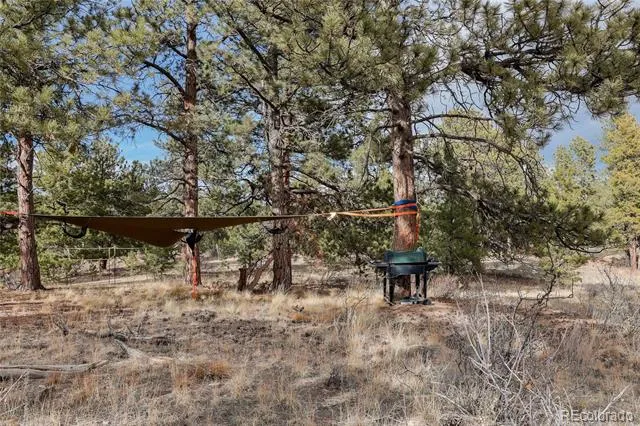 000 Twinkle Road Guffey, CO 80820