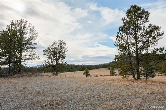 000 Twinkle Road Guffey, CO 80820