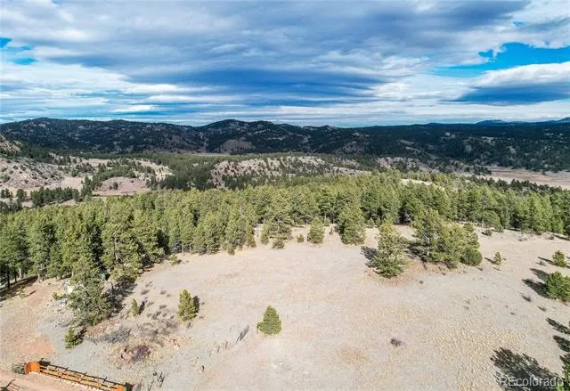000 Twinkle Road Guffey, CO 80820