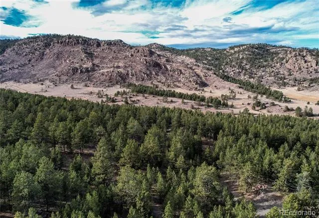000 Twinkle Road Guffey, CO 80820