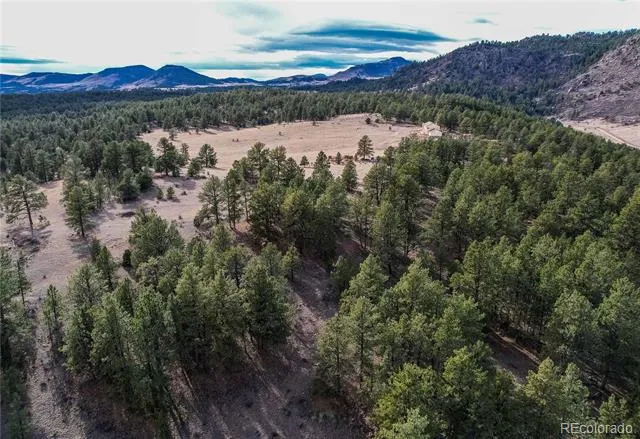 000 Twinkle Road Guffey, CO 80820