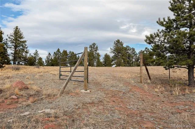 000 Twinkle Road Guffey, CO 80820