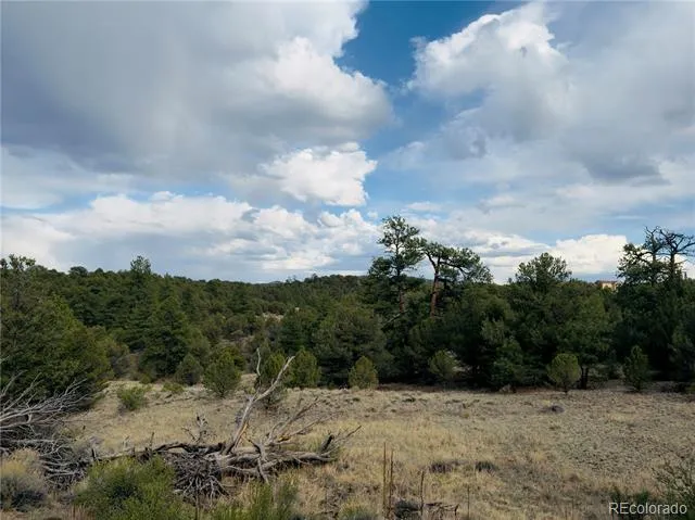 5539 Cody Park Road Cotopaxi, CO 81223