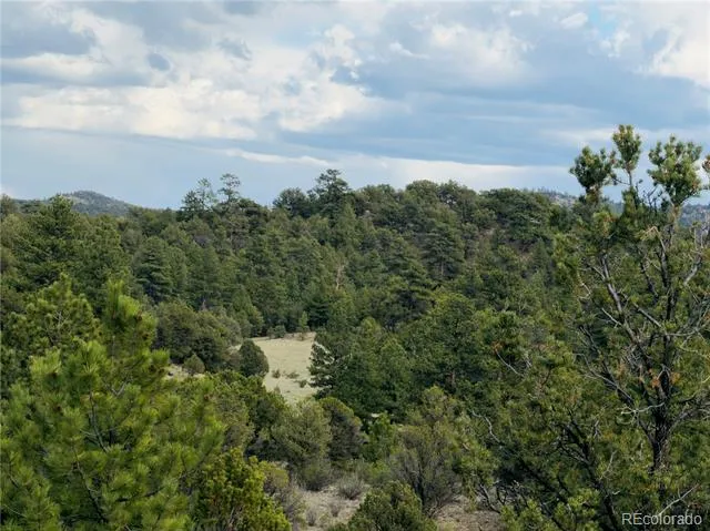 5539 Cody Park Road Cotopaxi, CO 81223