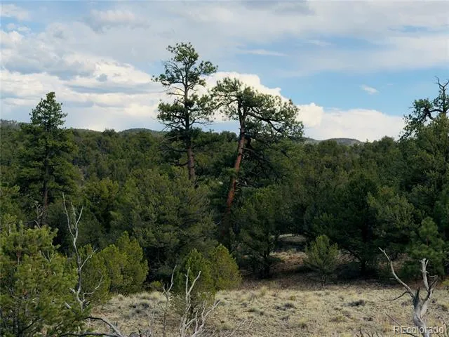 5539 Cody Park Road Cotopaxi, CO 81223