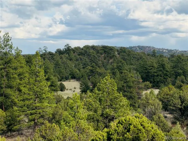 5539 Cody Park Road Cotopaxi, CO 81223