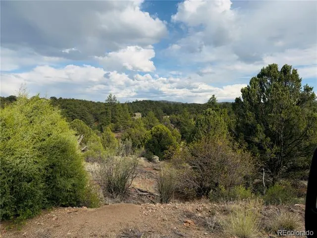 5539 Cody Park Road Cotopaxi, CO 81223